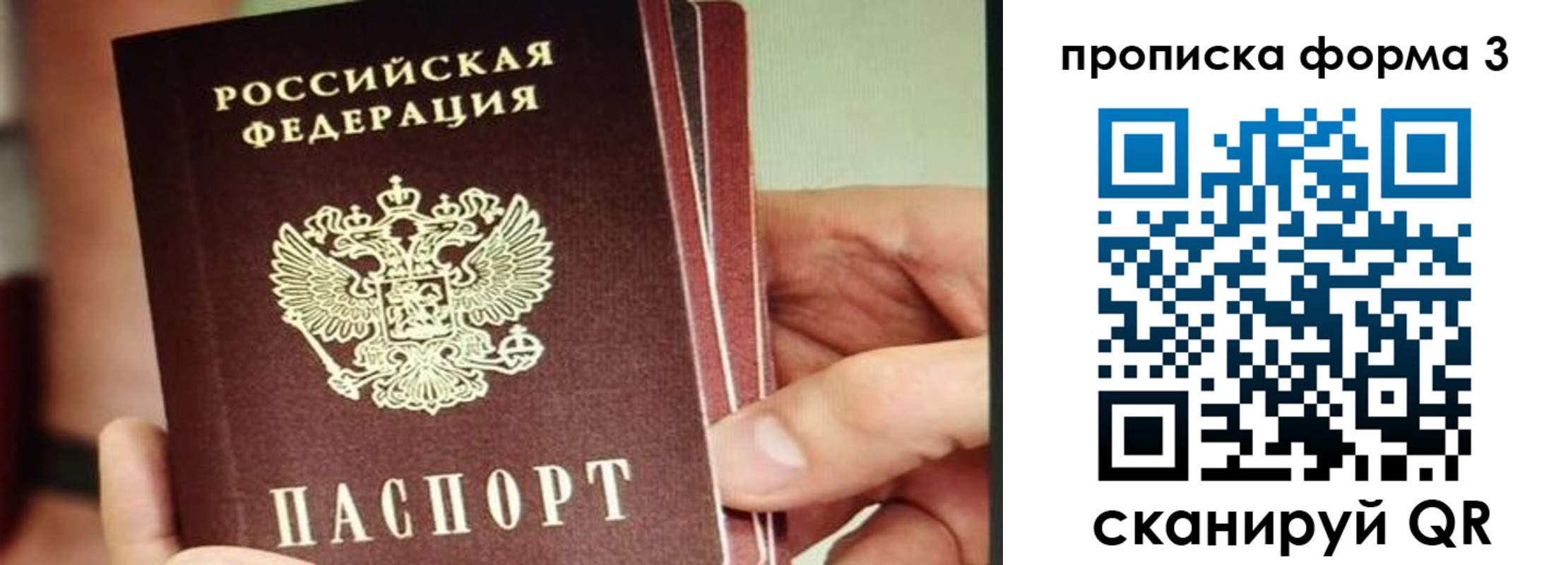 прописка законно в Амурской области